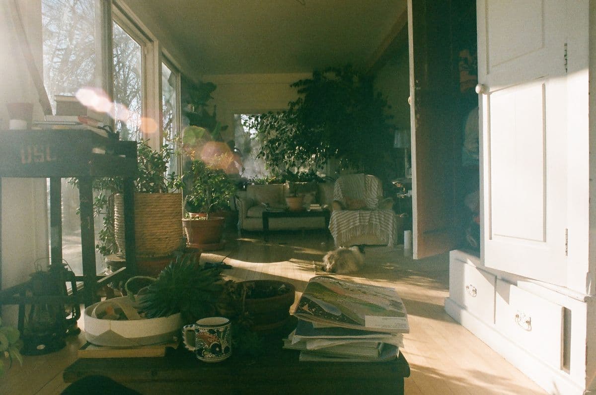 House sitting
